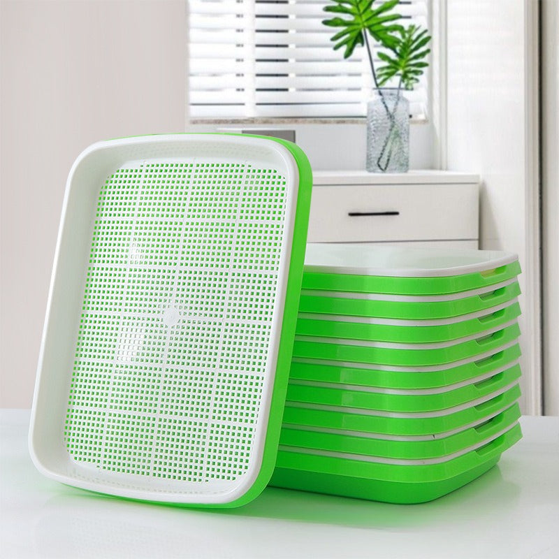 Automatic Wheatgrass Growing Tray | Self-Watering Hydroponic Sprout Planter for Home