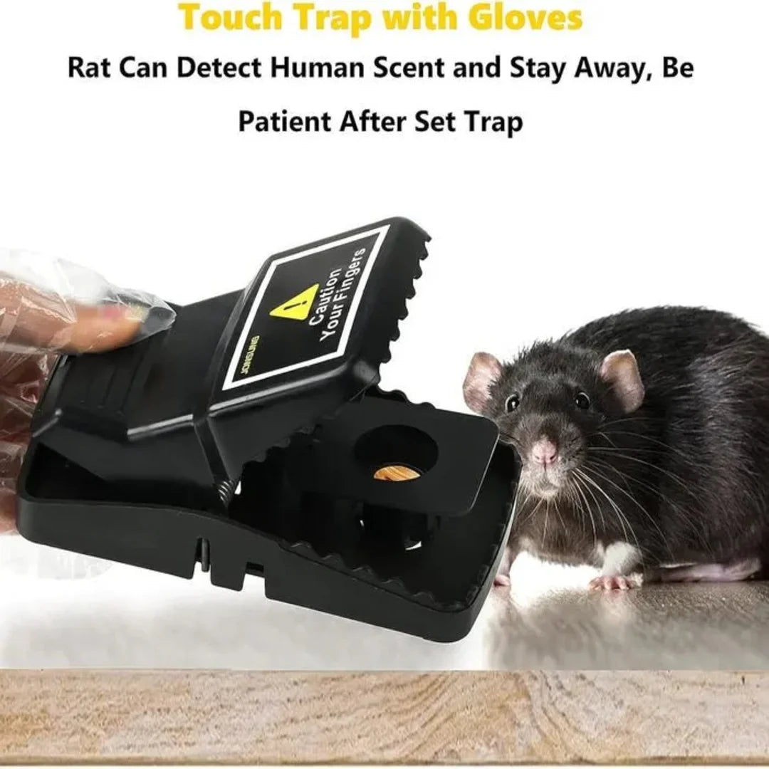 Snap Traps for Mice & Rodents